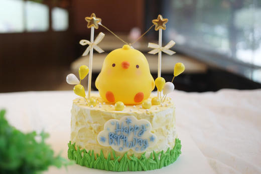 男孩款 草地黄色小鸡 商品图0