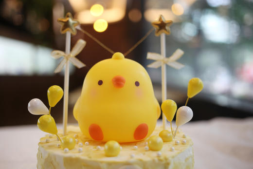 男孩款 草地黄色小鸡 商品图2