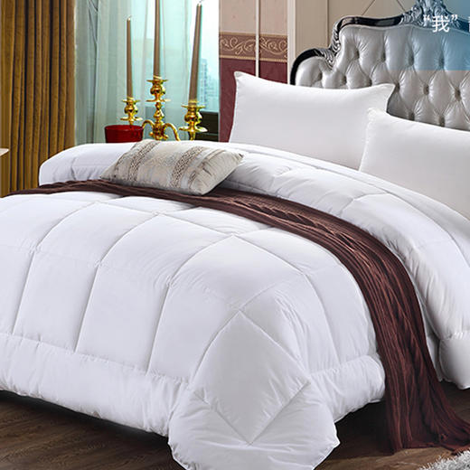 美庭冬季绒丝保暖加厚6斤冬被