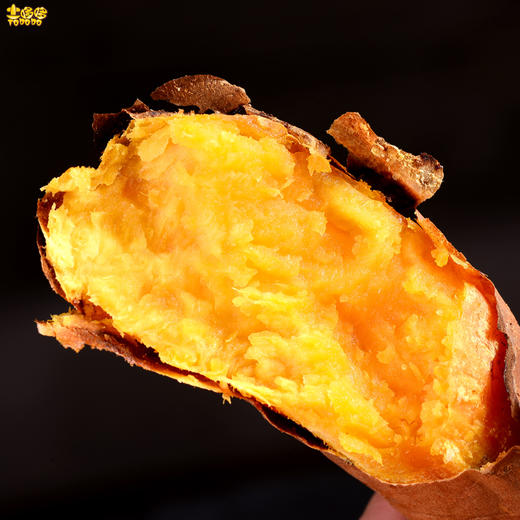 土哆哆云南高原建水蜜薯细腻蜜甜不噎人 产地直发 商品图1