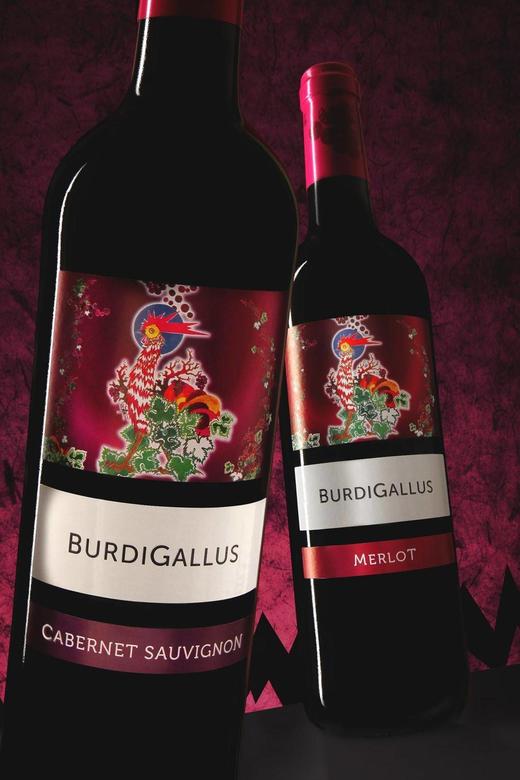 法兰西古堡佳乐赤霞珠干红葡萄酒 商品图0