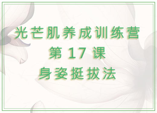 第17课  身姿挺拔法 商品图0
