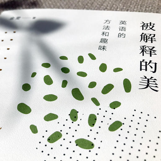 被解释的美 英语的方法和趣味 莫水田金雯漫谈英语语言文学随笔 致敬巴别塔 商品图5