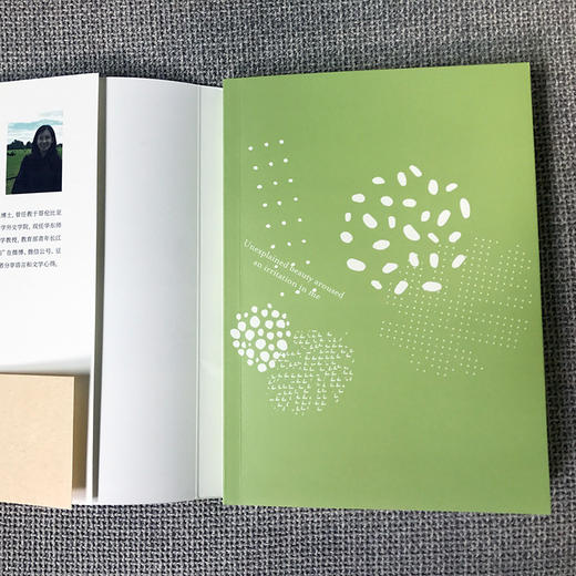 被解释的美 英语的方法和趣味 莫水田金雯漫谈英语语言文学随笔 致敬巴别塔 商品图4