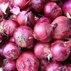 农家紫皮洋葱  颜色鲜亮  清脆爽口 微辣味浓  凉拌炒食均佳  葱头  500g 商品缩略图5