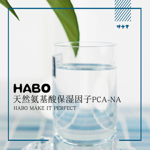 P-6 pca-na 天然保湿因子 护肤原料 商品图1