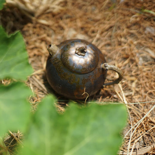 吴晟志 · 黄金铁陶 南瓜壶 商品图1