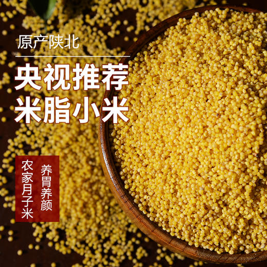 【陕北米脂黄小米】 农家月子米  养胃养颜 商品图0