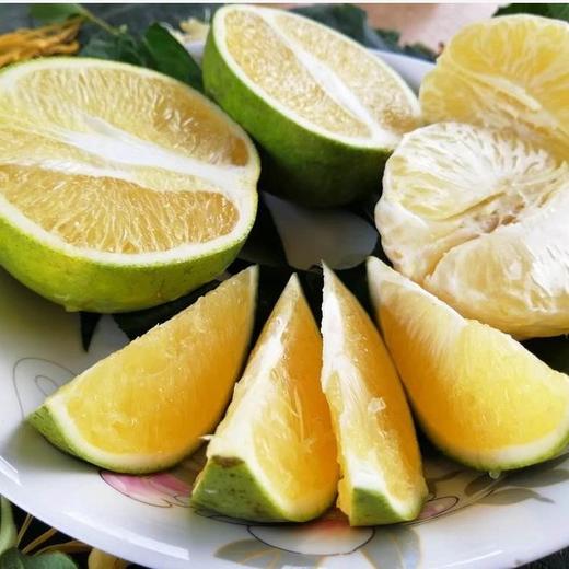 生态柳丁橙5斤(酸味少 自然甜)云南 柠檬君张扬【基地直发包邮】