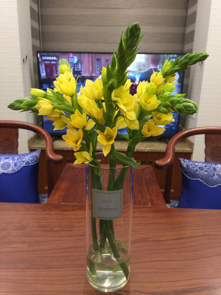 新鲜速递进口黄色白色雀梅