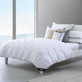 HBEM-001豪华鹅毛被