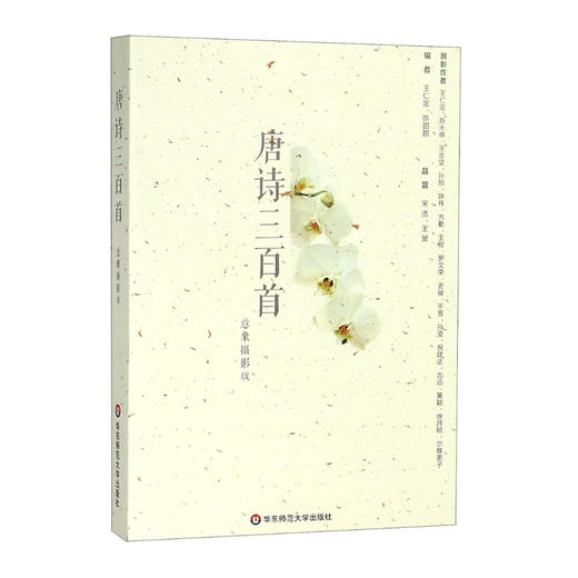 唐诗三百首 意象摄影版 中国古典诗歌选本 唐诗入门经典 王仁定 商品图2