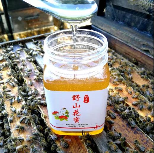 『野山花蜂蜜』生态健康 口感醇正 商品图2