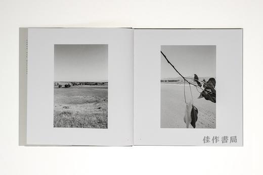 Robert Adams: Cottonwoods 罗伯特·亚当斯 商品图3