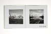 Robert Adams: Cottonwoods 罗伯特·亚当斯 商品缩略图4