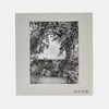 Robert Adams: Cottonwoods 罗伯特·亚当斯 商品缩略图0