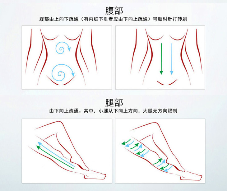 经络刷正确刷腿方向图片