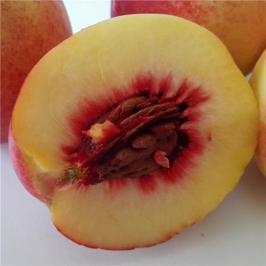 超甜黄肉红心油桃6斤