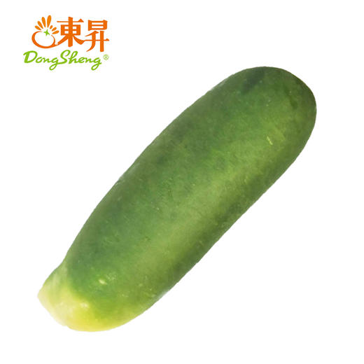 东升农场    沙窝萝卜  青萝卜  绿皮萝卜  广州供港蔬菜新鲜配送400g 商品图1