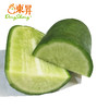 东升农场    沙窝萝卜  青萝卜  绿皮萝卜  广州供港蔬菜新鲜配送400g 商品缩略图2