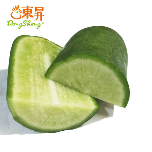 东升农场    沙窝萝卜  青萝卜  绿皮萝卜  广州供港蔬菜新鲜配送400g 商品图2