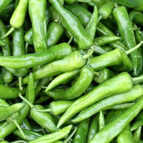 【新鲜】蔬菜辣妹子约250g/份