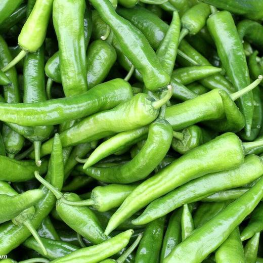 【新鲜】蔬菜辣妹子约250g/份 商品图0