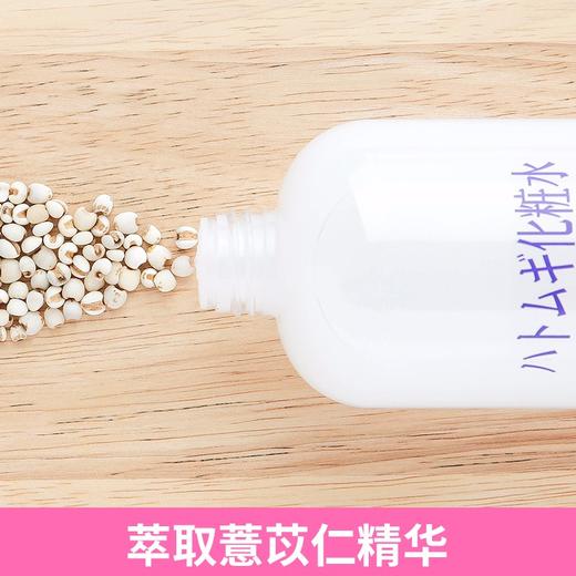 新老款随机发娥佩兰-薏仁化妆水500ml（4304001） 商品图3