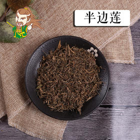 中药材批发 半边莲 1000克/500克