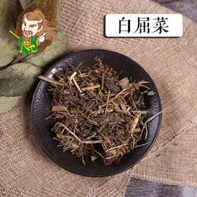 中药材批发 白屈菜  东北 1000克/500克