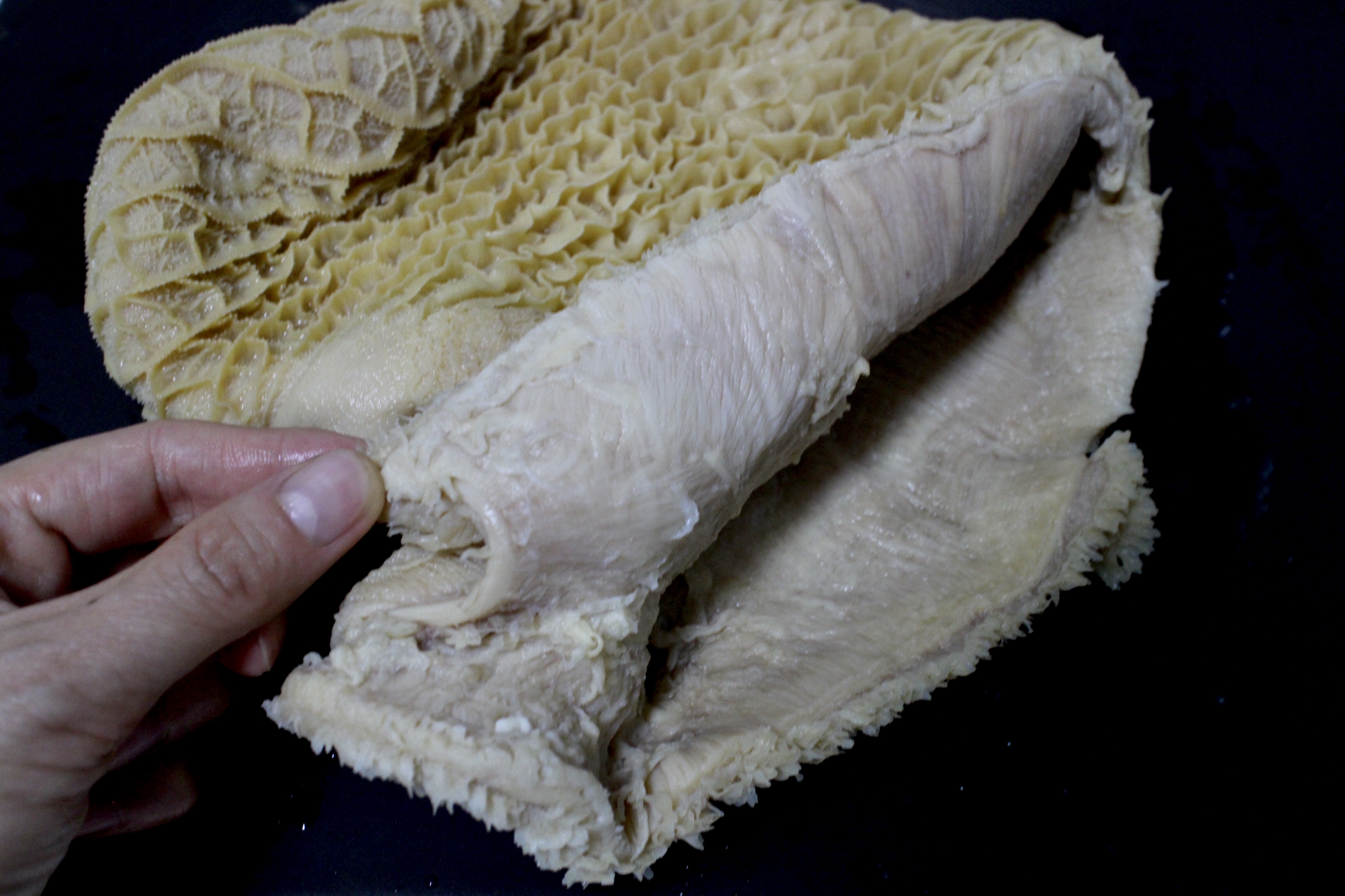 【金钱肚】,产地:新西兰,78元/斤