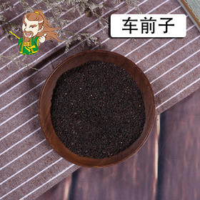 中药材批发 车前子 江西 1000克/500克