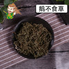 中药材批发 鹅不食草 安徽 1000克/500克 商品缩略图0