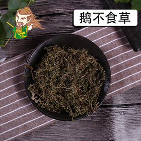 中药材批发 鹅不食草 安徽 1000克/500克