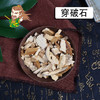 中药材批发 穿破石 湖南 1000克/500克 商品缩略图0
