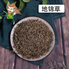 中药材批发 地锦草 浙江 1000克/500克 商品缩略图0