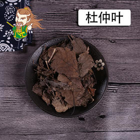 中药材批发 杜仲叶 湖北 1000克/500克