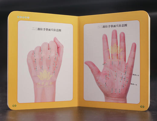 董氏特效穴速查手册（口袋书） 商品图1