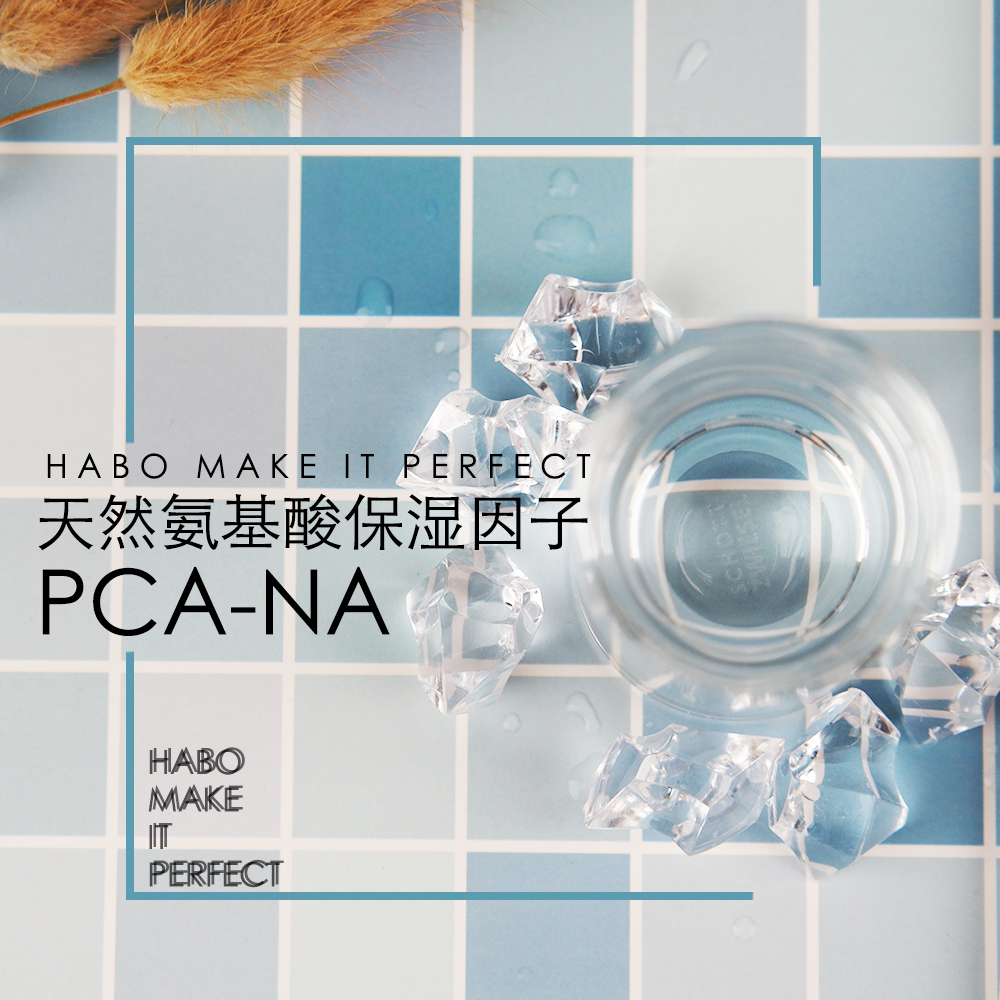 P-6 pca-na 天然保湿因子 护肤原料