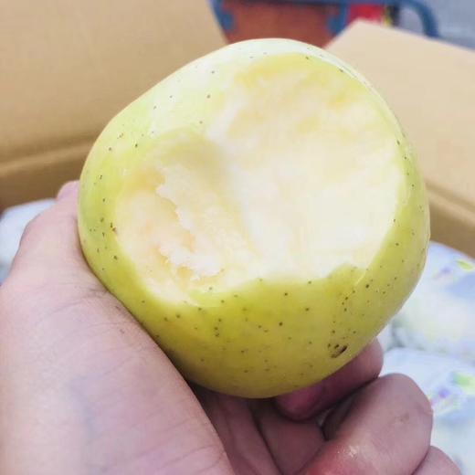 正宗新疆王林苹果 【大果带箱10斤】 商品图1