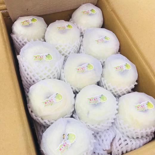 正宗新疆王林苹果 【大果带箱10斤】 商品图3