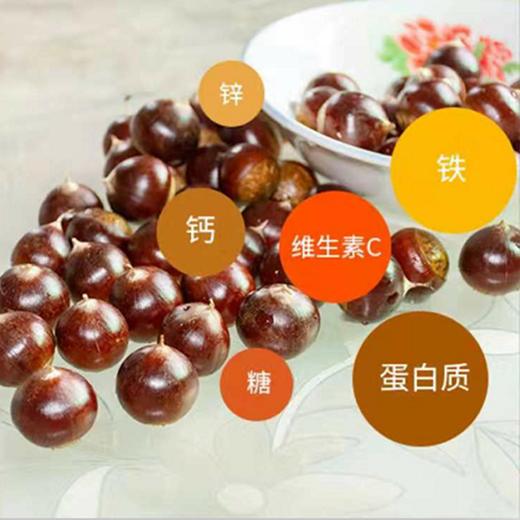 政和油锥栗（5斤） 商品图2