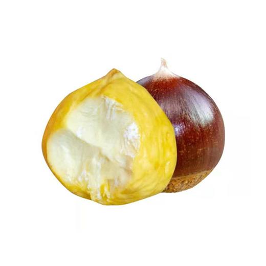 政和油锥栗（5斤） 商品图1