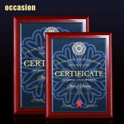 授权牌奖牌定制定做木质奖牌荣誉牌牌匾定制聘书室内设计师资格证 商品图1