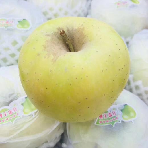 正宗新疆王林苹果 【大果带箱10斤】 商品图0