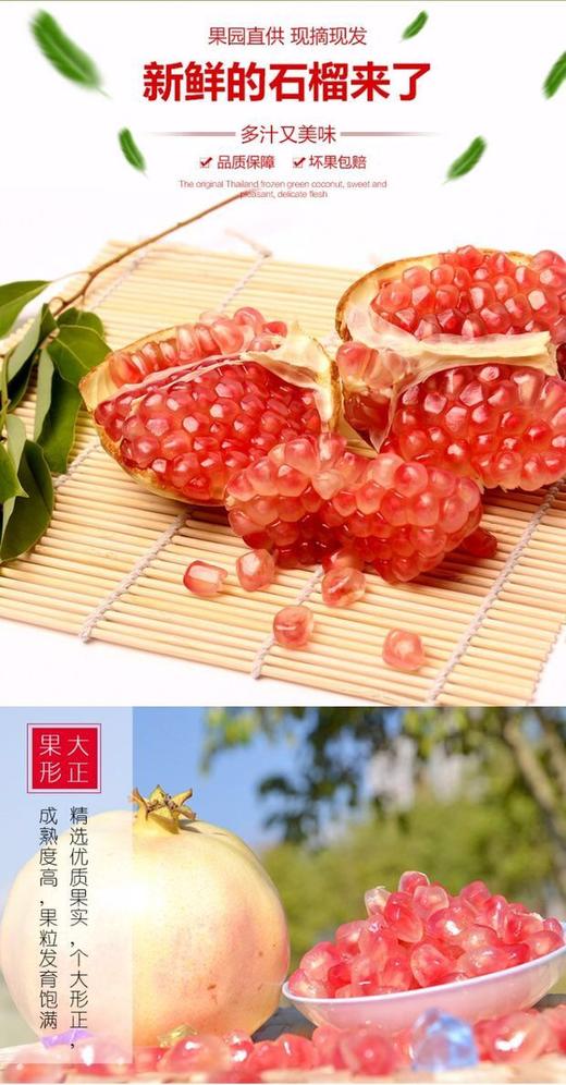 甘甜多汁四川突尼斯软籽石榴 商品图4