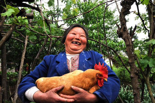 【李大爷家专场】岫云村丨两年时光鸡 商品图1