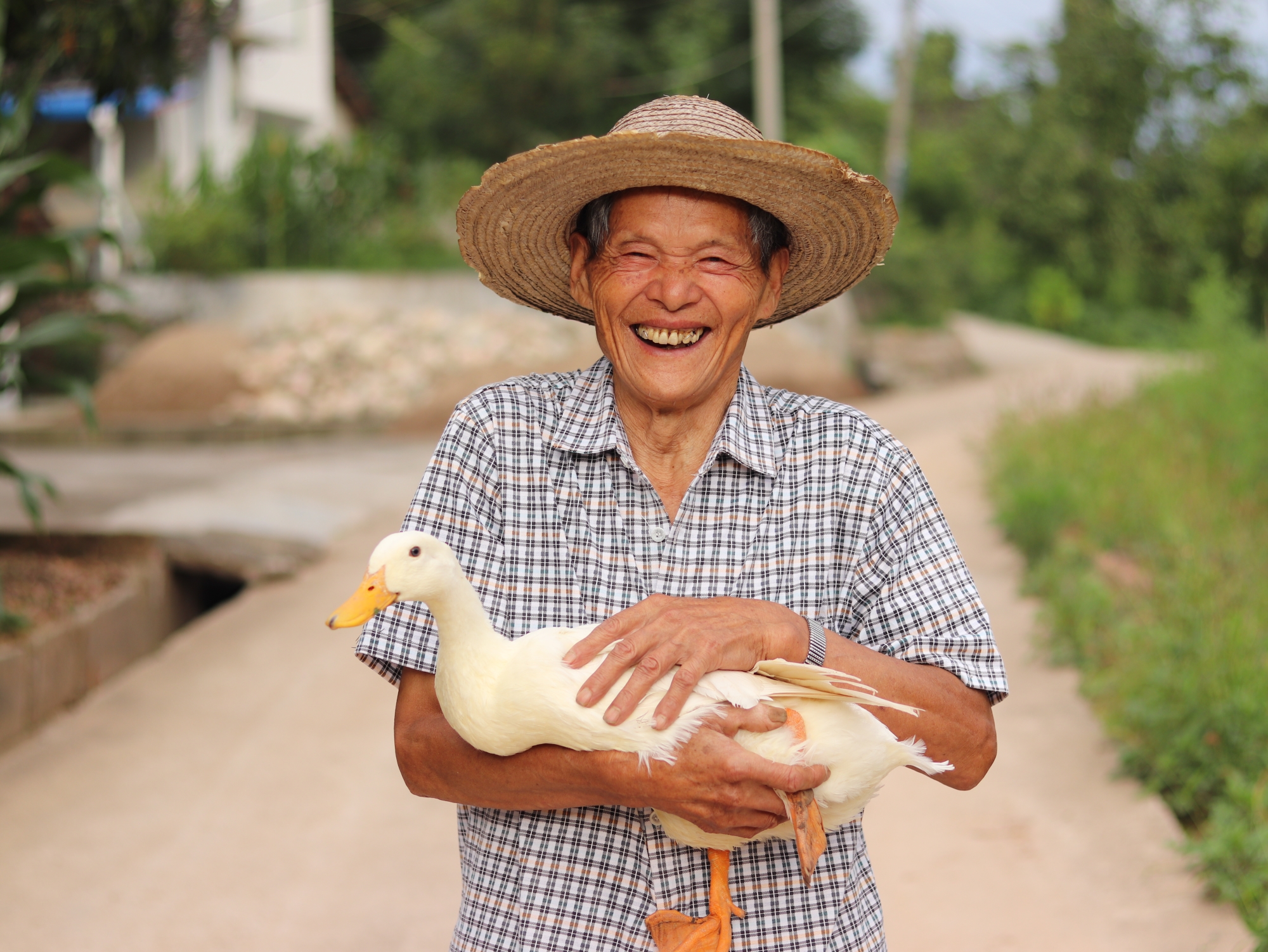 【李大爷家专场】岫云村丨两年岁月鸭