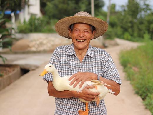【李大爷家专场】岫云村丨两年岁月鸭 商品图0