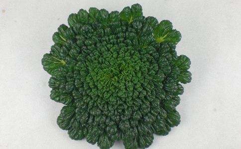 有机塔菜500g 商品图0